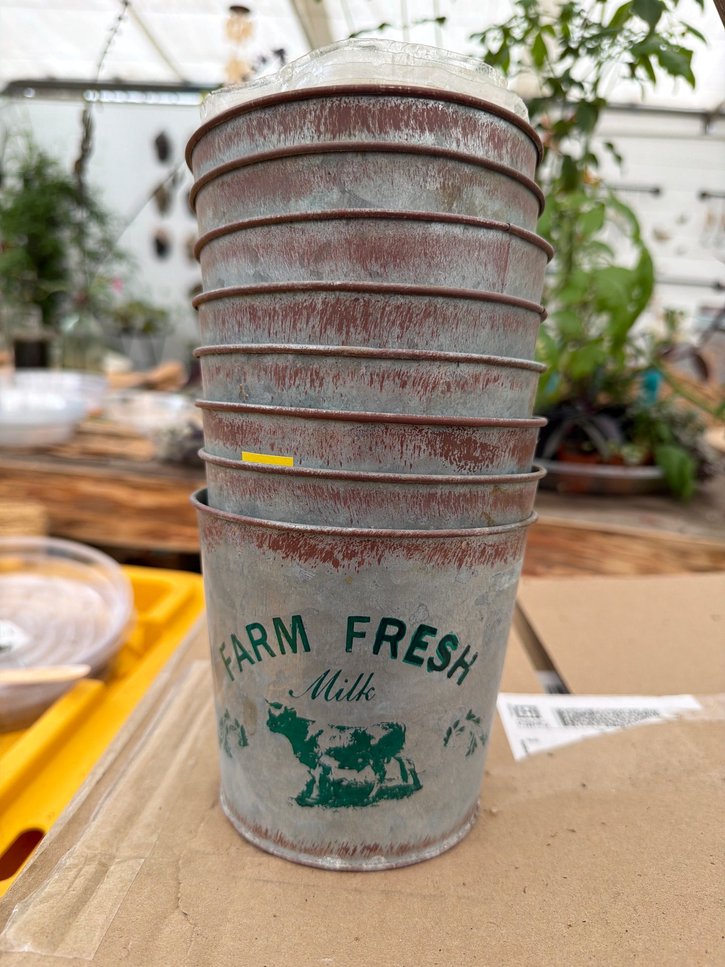PR - Farm Fresh Milk Tin